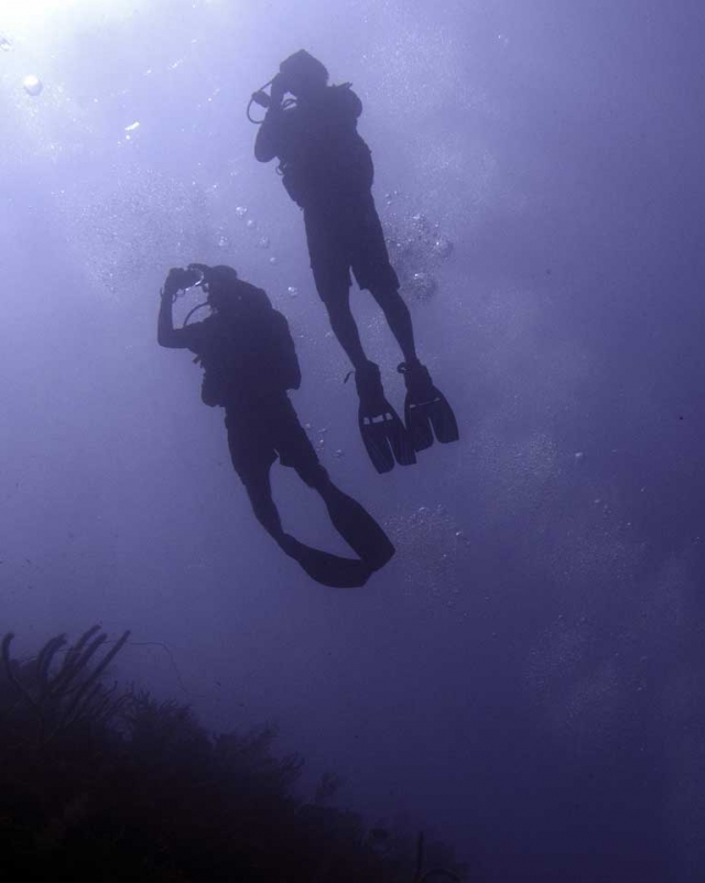 Diversion bajo el agua